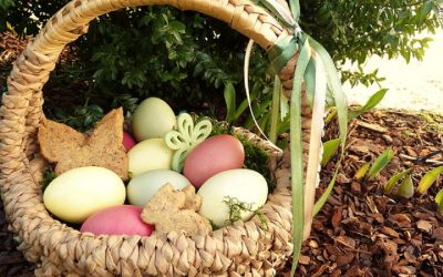 easter-nest-2122050_640